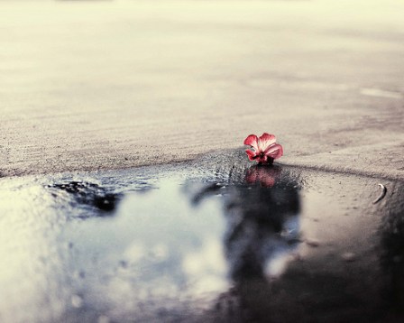 tumblr_md6rkpbPo21qgjmijo1_500