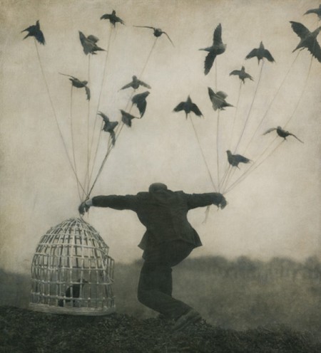 art-artistic-beautiful-bird-birds-Favim_com-418997