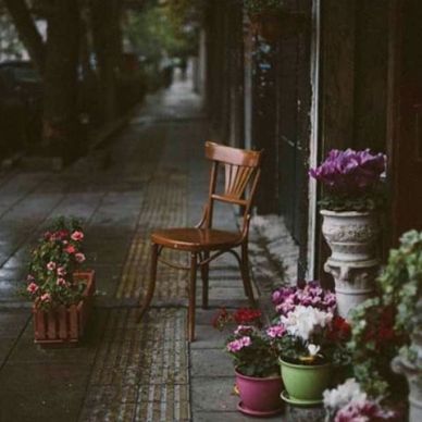 11379762_1603195213269852_400318493_n