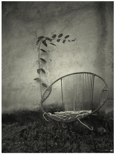 la_sedia_di_nessuno__by_boing_boing