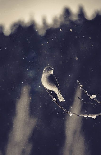 8a07d53b8c418ac3adbeea5015ca3706